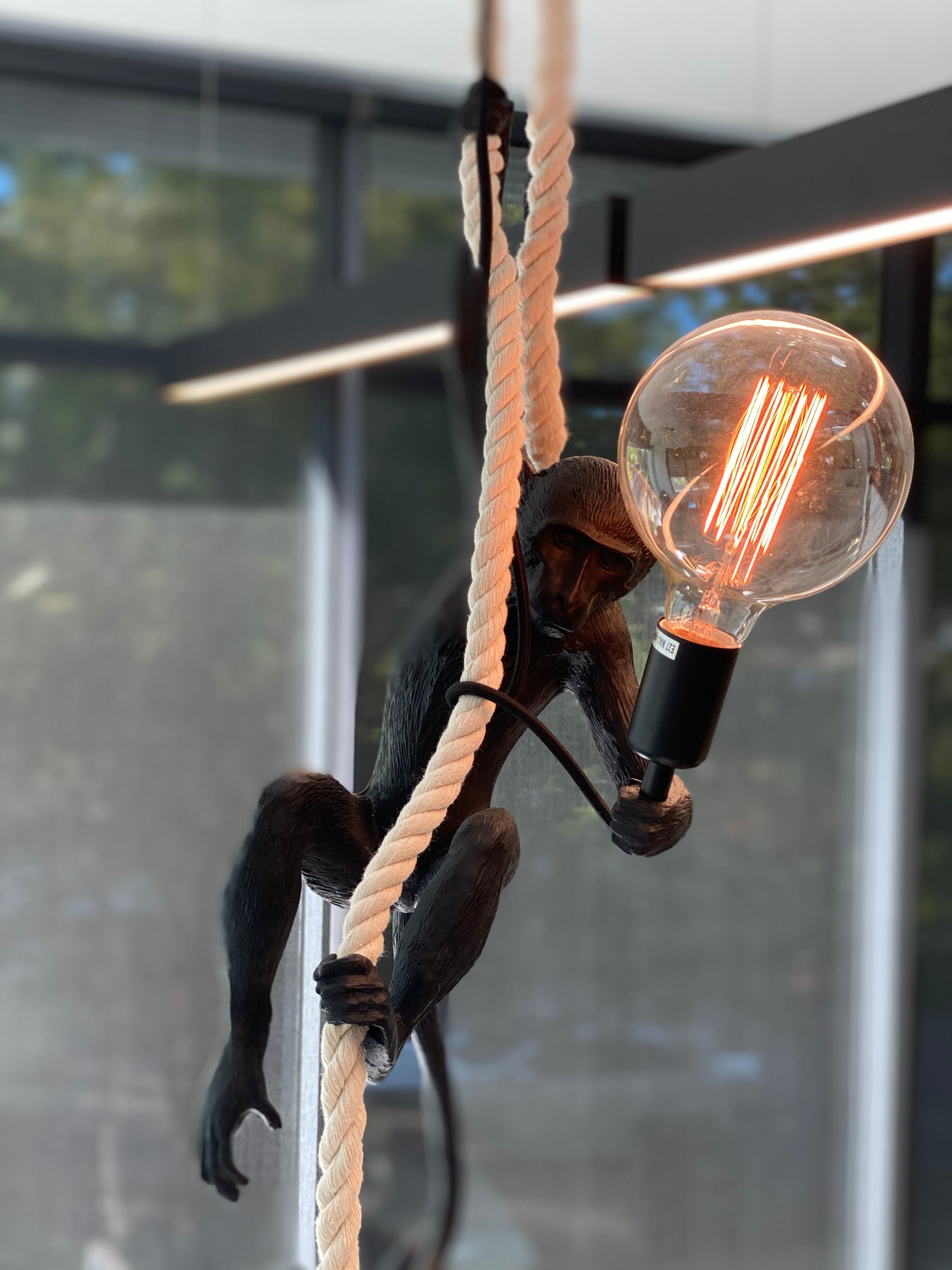 Hanging monkey deals wall light